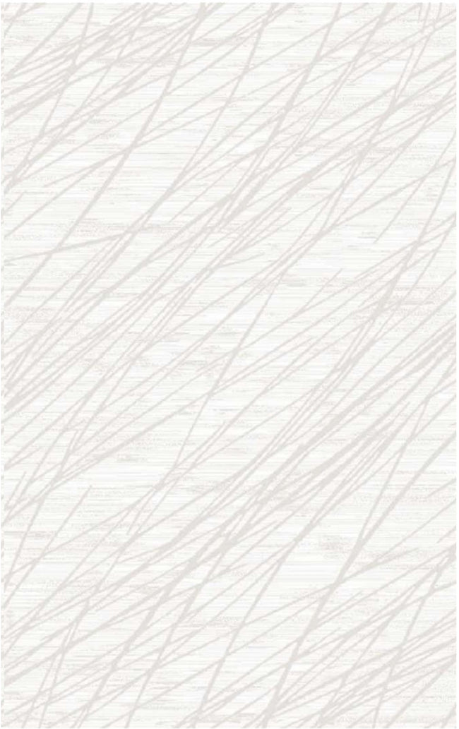 ATLAS CARPET PLANE CY08A 