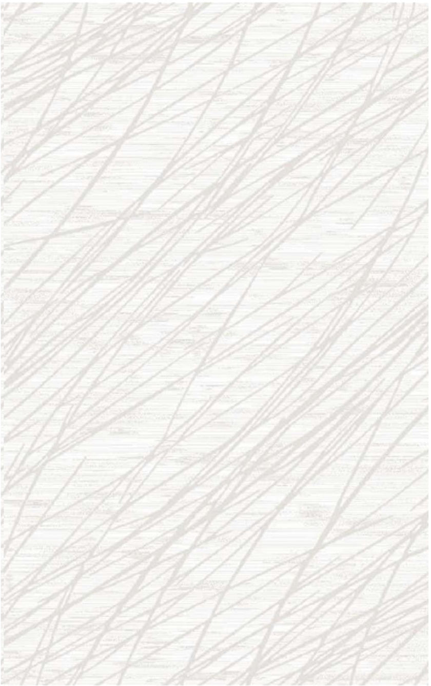 ATLAS CARPET PLANE CY08A 