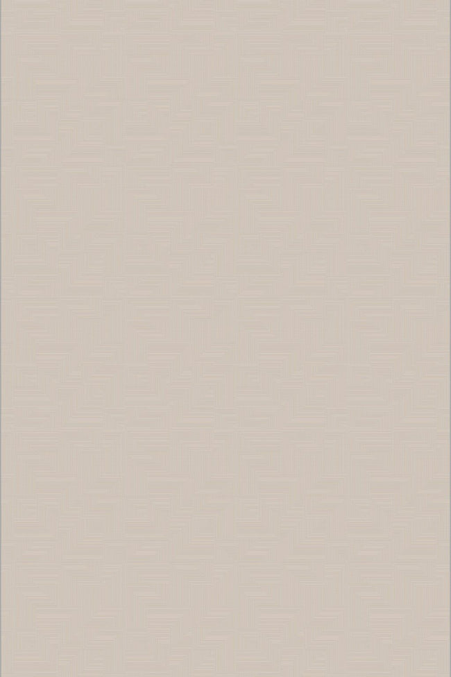 PALAZZO SHINE PLZ07 GREY BEIGE