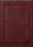 PASTEL DISCOVERY 1705A BORDO LACIVERT