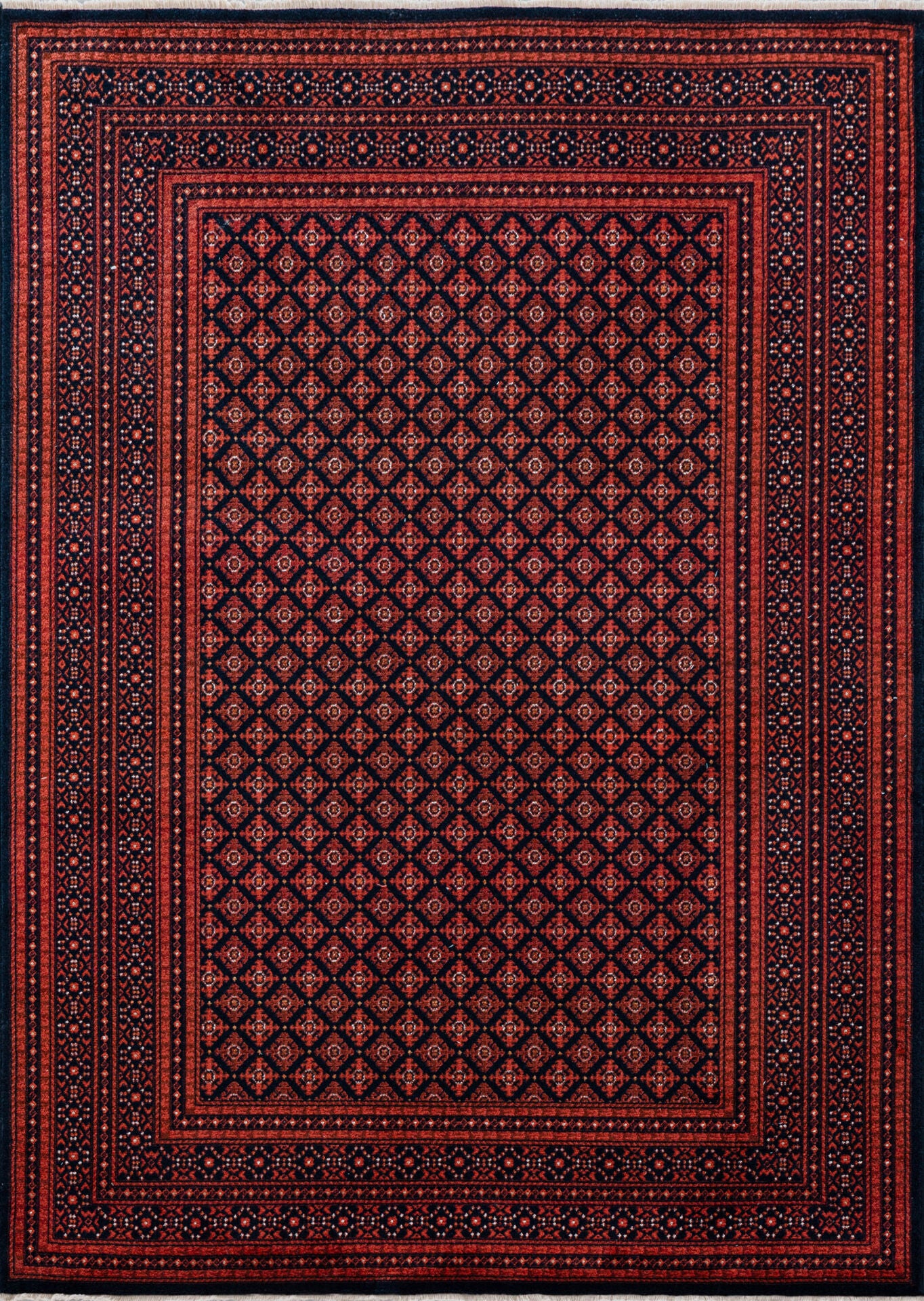 PASTEL DISCOVERY 1705A BORDO LACIVERT